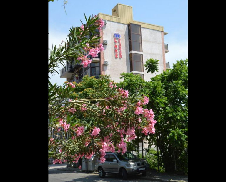 ОТДЫХ В «LIKE», КОБУЛЕТИ_AR