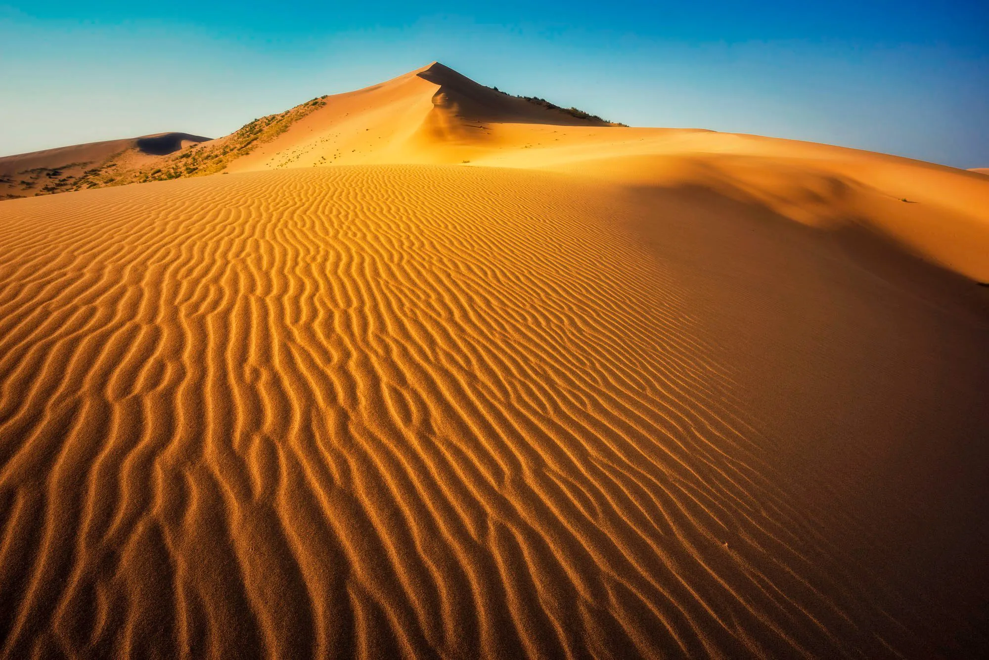 ДАГЕСТАН 2.0_KP